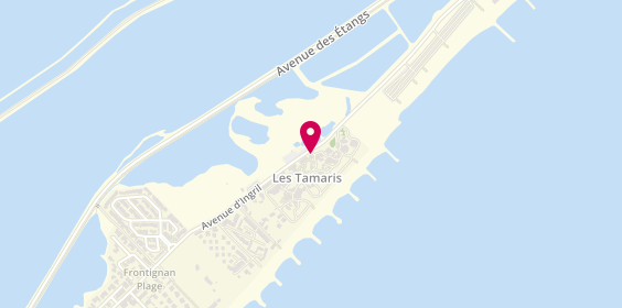 Plan de Camping Les Tamaris, 140 avenue d'Ingril, 34110 Frontignan