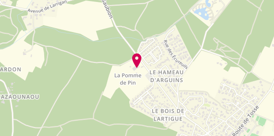 Plan de La Pomme de Pin Capfun, 825 Route de Seignosse, 40230 Saubion