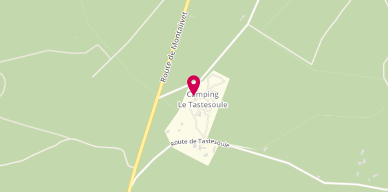 Plan de Camping Caravaning le Tastesoule, 2 Route des Grigots, 33590 Vensac