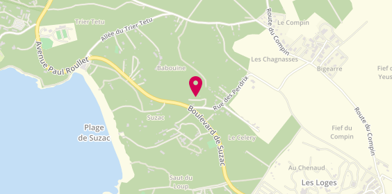Plan de Camping Les Ombrages, 78 Boulevard de Suzac, 17132 Meschers-sur-Gironde