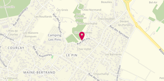 Plan de Camping Elim Cafej, 16 Rue des Iris, 17420 Saint-Palais-sur-Mer