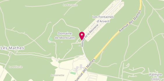 Plan de Camping Domaine de Montcalm, 1 avenue de la Resinerie, 17570 Les Mathes