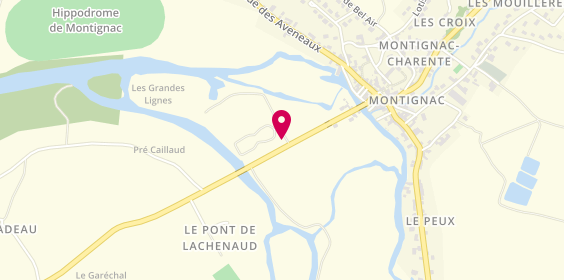 Plan de Camping Municipal Les Platanes, Allée des Platanes, 16330 Montignac-Charente