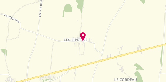 Plan de Camping Les Ripettes, 283 Route des Ripettes, 01190 Chavannes-sur-Reyssouze