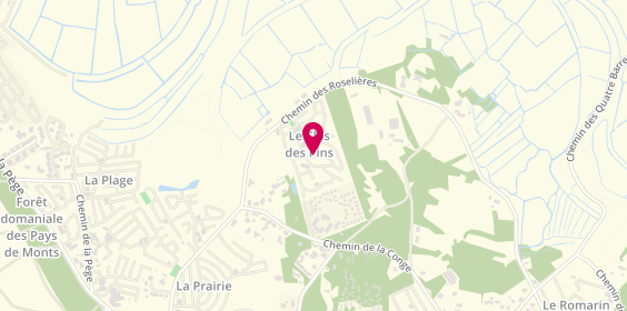 Plan de Camping le Clos des Pins, 51 chemin des Roselières, 85270 Saint-Hilaire-de-Riez