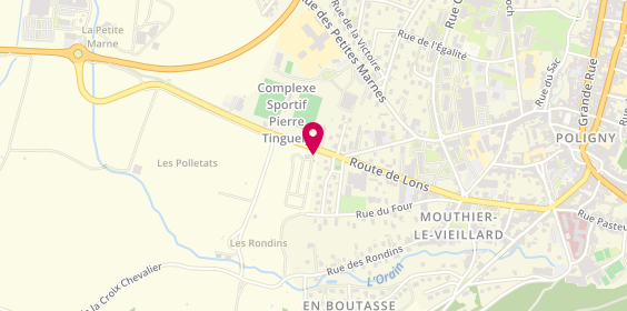 Plan de Camping la Tulipe de Vigne, Route de Lons-Le-Saunier, 39800 Poligny