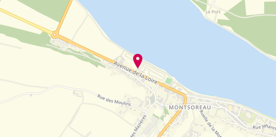 Plan de Camping de l'Ile Verte, avenue de la Loire, 49730 Montsoreau