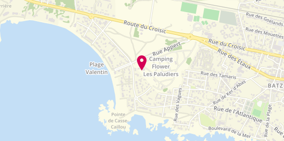 Plan de Flower Camping Les Paludiers, Rue Appert, 44740 Batz-sur-Mer