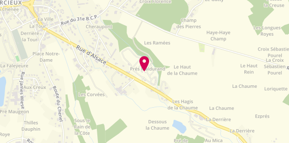Plan de Camping le Clos de la Chaume, 671 Rue d'Alsace, 88430 Corcieux