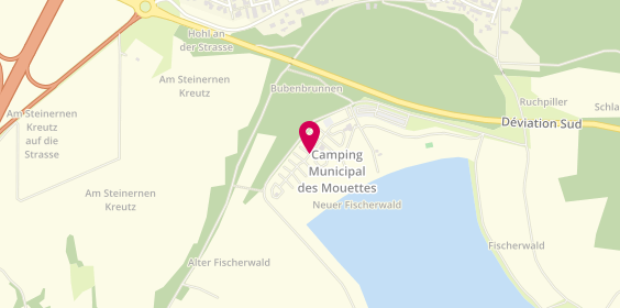 Plan de Camping Municipal des Mouettes, chemin des Mouettes, 67630 Lauterbourg