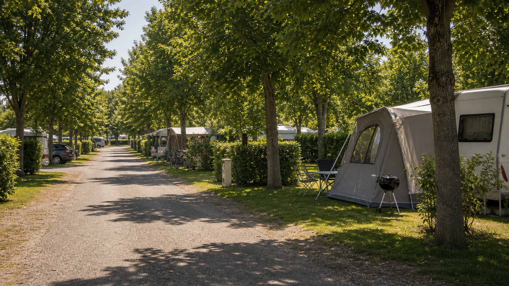 Allée calme de camping avec emplacements ombragés et peu de circulation